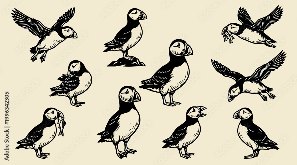 Fototapeta premium Puffin Bird Linocut Illustration Set: Professional Woodblock Graphic Elements, Flying and Standing Poses