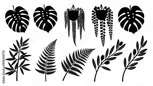 A minimalist, black and white image of bamboo leaves offers a calming, organic aesthetic. Ideal for wellness, spa, or nature-focused branding and desi