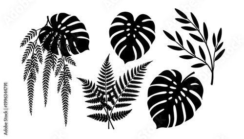 A minimalist black and white illustration of a fern frond, evoking a sense of natural tranquility and organic beauty. Ideal for backgrounds, textures,