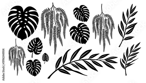 A minimalist, black and white illustration of hanging ferns creates a calming and natural aesthetic. Perfect for website backgrounds, minimalist brand