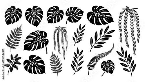 A simple, elegant fern leaf illustration creates a calming and natural mood. Perfect for backgrounds, website design, or adding a touch of botanical s