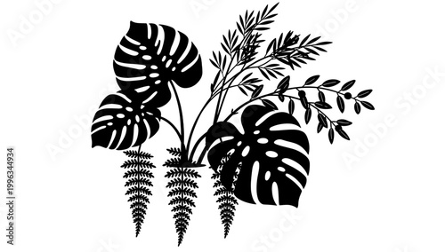 A clean, white background evokes simplicity and purity. Ideal for showcasing products, text overlays, or creating a sense of calm and focus in design 