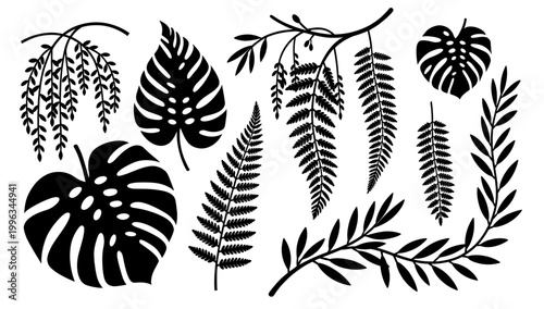 A striking minimalist image of a monstera leaf, perfect for backgrounds or adding a touch of nature to designs. Evokes a serene and modern mood, ideal