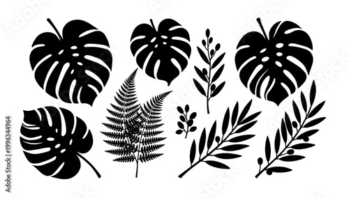 A striking black and white composition featuring a monstera leaf fragment. Ideal for backgrounds, textures, or adding a tropical, organic element to d