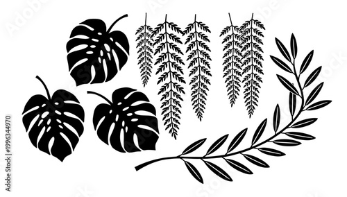 A minimalist, high-contrast image of a monstera leaf filling a corner. Ideal for backgrounds, website design, or adding a touch of tropical freshness 