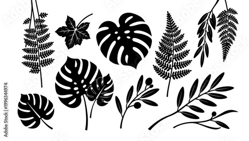A minimalist black and white depiction of a monstera leaf creates a fresh and modern aesthetic, perfect for wellness branding or tropical themed desig