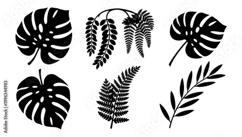 A striking, minimalist image of a monstera leaf. Perfect for backgrounds, textures, or adding a natural, tropical element to wellness or design-focuse