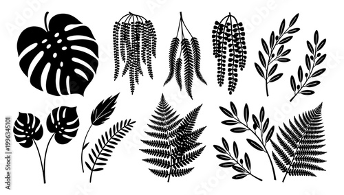 A striking black and white image of monstera leaves, perfect for adding a touch of botanical elegance to website designs, marketing materials, or soci