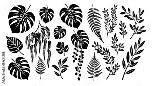 A striking, minimalist image of a monstera leaf in silhouette. Ideal for tropical-themed designs, wall art, or adding a touch of natural elegance to w