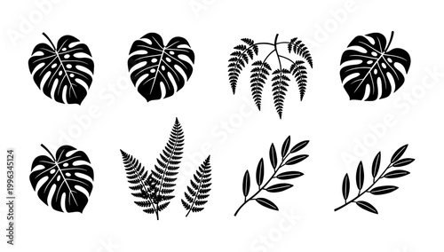 A striking black monstera leaf against a clean white background evokes a sense of tropical freshness. Ideal for minimalist designs, website background