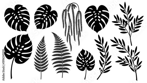 A striking black and white image of a monstera leaf, ideal for minimalist design, tropical themes, or creating a calming, organic aesthetic. Perfect f