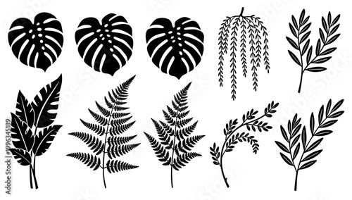 A minimalist black and white graphic of monstera leaves evokes a calm, natural feeling. Ideal for botanical designs, backgrounds, and wellness-themed 