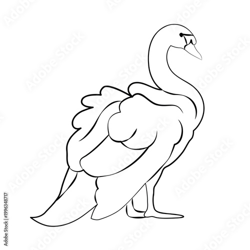 Hand-drawn romantic swan illustration for wedding decor or invitations in modern line art style