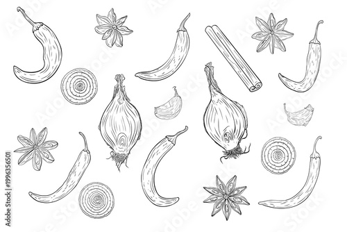 Chili pepper, onion, cinnamon and star anise set in detailed line art style. Hand drawn. Collection of spicy ingredients isolated, perfect for cooking design, packaging, menus and natural themes