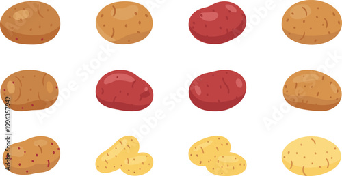 Set of Fresh Potato Illustrations Featuring Various Cultivars Including Russet Red and Yukon Gold Whole Raw Tubers for Healthy Nutrition and Culinary Graphic Designs