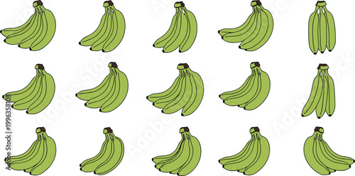Set of Fresh Green Banana Illustrations Featuring Bunches of Raw Unripe Fruits for Healthy Cooking Culinary Arts Tropical Agriculture and Diet Graphic Design Projects