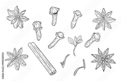 Hand drawn clove, cinnamon and star anise spice set in detailed line art style. Collection of aromatic ingredients isolated on white, perfect for cooking design, packaging, menus and natural themes