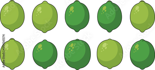 Set of Fresh Green Lime Illustrations Featuring Whole Raw Citrus Fruits in Various Shades for Healthy Nutrition Culinary Arts and Summer Beverage Graphic Design Projects