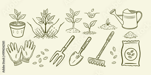 Collection of detailed sketches depicting the main stages of planting and the necessary gardening tools.