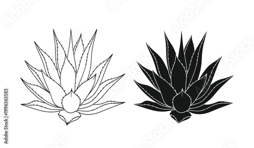 A striking botanical illustration depicts two agave plants one in white line art and the other as a bold silhouette high quality professional detailed