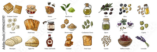 Vector food illustration colorful hand drawn Spices, tea, flavors