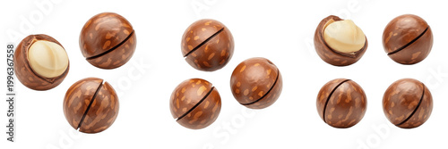 Foto Set and collection of macadamia nuts isolated on transparent png background