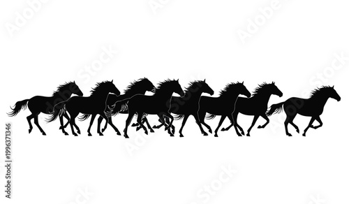 A dynamic arrangement of seven horses depicted in full gallop their manes and tails flowing presented as a striking silhouette high quality professional detailed