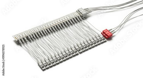 Extensive network patch panel with multiple ports and neatly bundled white ethernet cables, featuring a distinct red connector, on a clean white background.