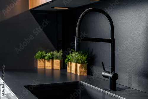 Professional black kitchen faucet with herbs. Modern dark interior for high end living spaces.