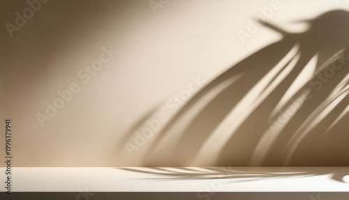 background image for design or product presentation with a play of light and shadow in light warm neutral tones