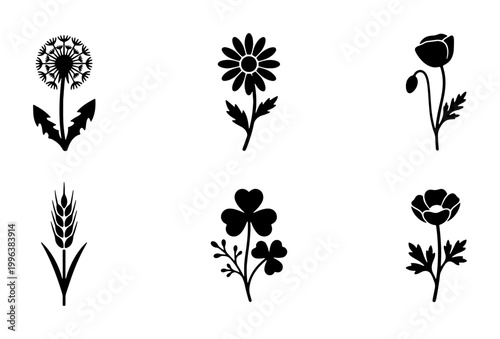 Minimalist black floral silhouettes set, 6 botanical vector icons including dandelion and poppy, elegant wildflower plant symbols for logo design