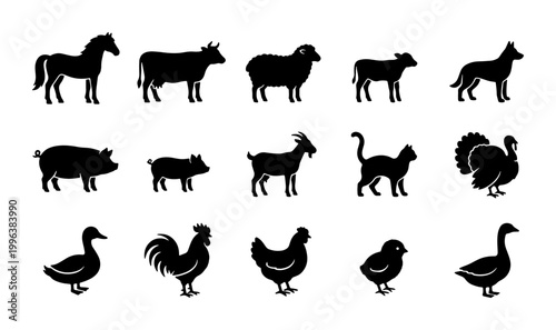 Farm animal silhouettes set, 15 livestock and poultry vector icons, black domestic animal shapes for agriculture and ranching design