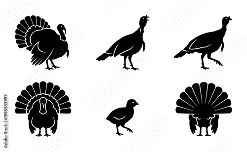 Black turkey silhouette set, wild bird icons for Thanksgiving and autumn design, 6 vector elements of farm poultry and forest game birds