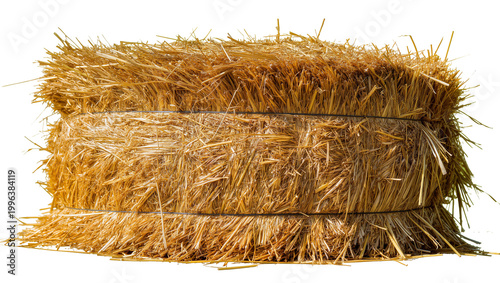 Quadro em tela Rectangular golden straw bale tied with dark twine, isolated on transparent back