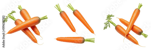 Set and collection Fresh Carrots with Slices isolated on white transparent png background