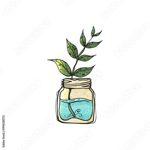 Watercolor Style Vector Plant Cutting in Glass Mason Jar Blue Water Hand Drawn Illustration
