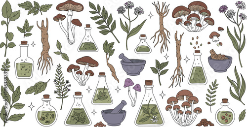 Botanical herbal medicine and apothecary vector set with plants roots mushrooms mortars and glass bottles for natural healing and alchemy illustration