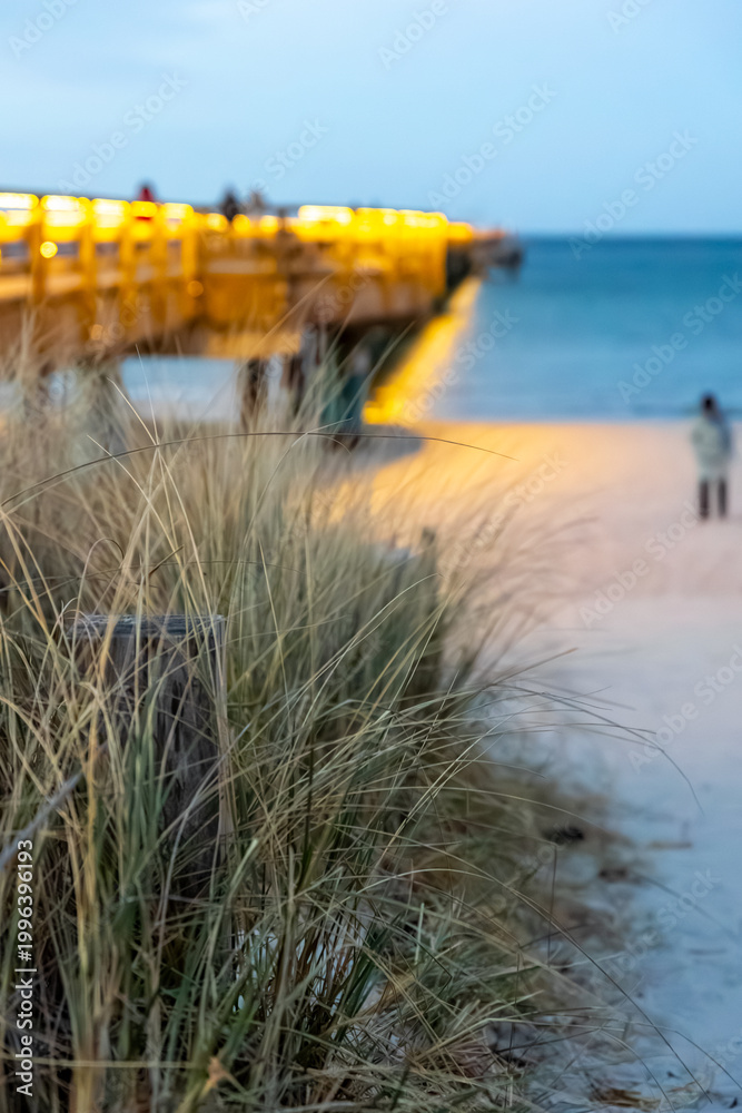 Fototapeta premium Illuminated sea bridge in twilight. Grass in the foreground.