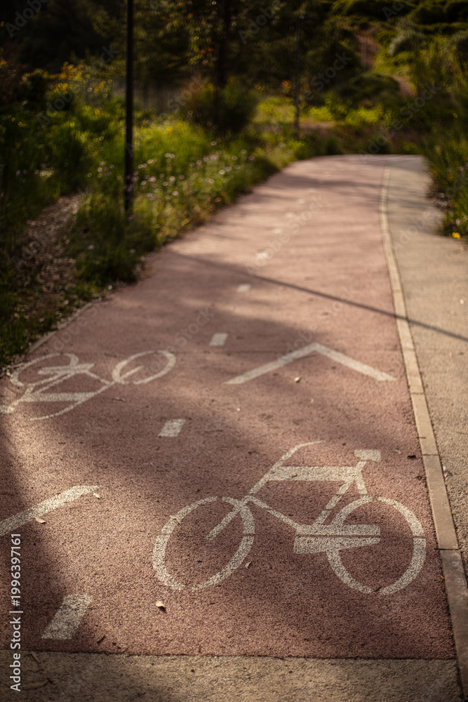 Obraz premium Bicycle lane in park with painted bike symbol and directional arrow on asphalt path in natural setting.