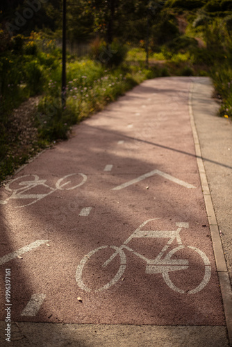 Bicycle lane in park with painted bike symbol and directional arrow on asphalt path in natural setting.