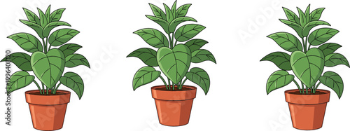 Potted green houseplants set with indoor decorative foliage illustration, home decor and botanical vector collection design