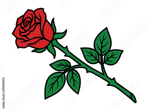 red rose on transparent background