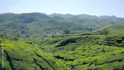 Foto Small village settlement nestled in a valley surrounded by vibrant green tea plantations in the Munnar mountains, Kerala, India