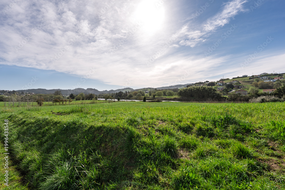 Obraz premium Green Countryside Meadow Under Bright Sky and Distant Hills