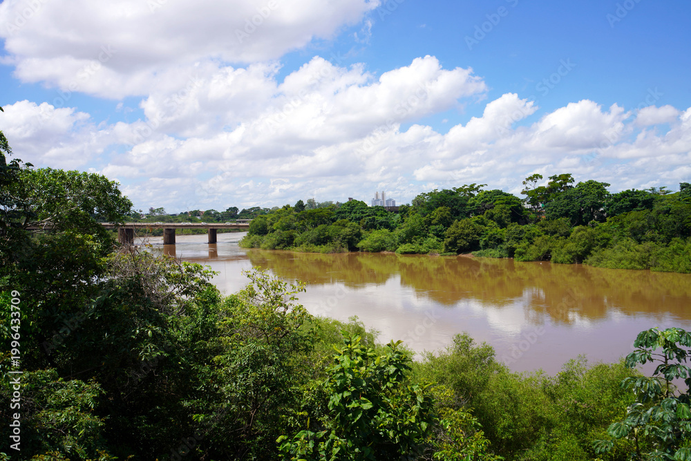 Fototapeta premium The Pantanal the world's largest tropical wetland area and the world's largest flooded grasslands, Mato Grosso State, Brazil