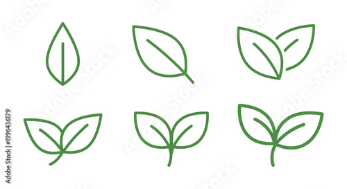 A set of six green leaf icons in various shapes and sizes on a white background in a simple line art style.