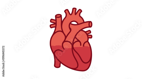 A simple, clear illustration of a human heart, depicted in shades of red, showing its anatomical structure.