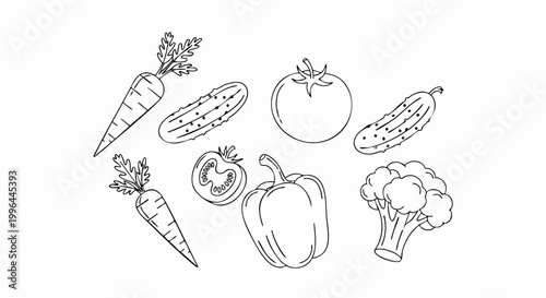 Hand drawn doodle set of fresh vegetables.