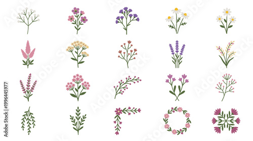 Hand drawn wildflower botanical collection with colorful herbs, meadow plants, floral wreaths and delicate leaves for natural decorative design