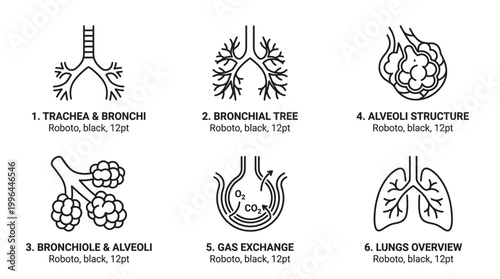 Line art icons illustrating the human respiratory system, including trachea, bronchi, bronchial tree, alveoli structure, gas exchange, and a general overview of the lungs.